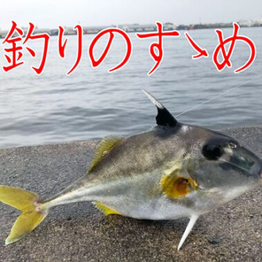 2025.07.08_higashihama_blog_0