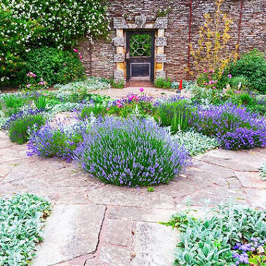 2025.07.22_kyowa_blog_8