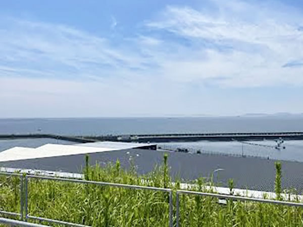 海