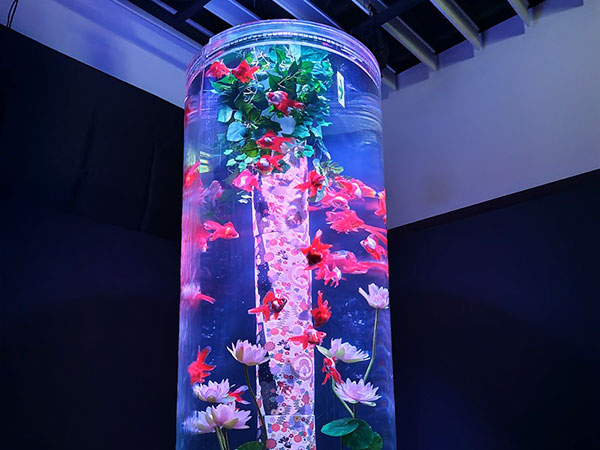 アートアクアリウム④