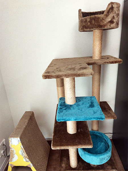 キャットタワー完成！