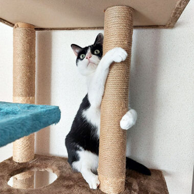 2025.08.14_rinku_blog_14