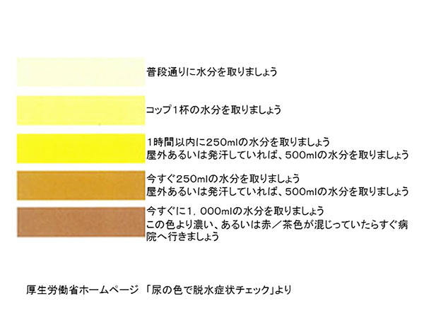 熱中症対策？意外とやりがちな○○すぎにご注意を
