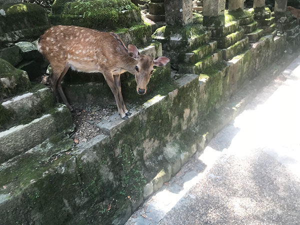 熱中症対策？意外とやりがちな○○すぎにご注意を