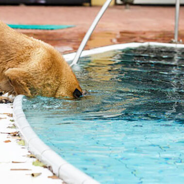 2025.08.16_kuchida_blog_7