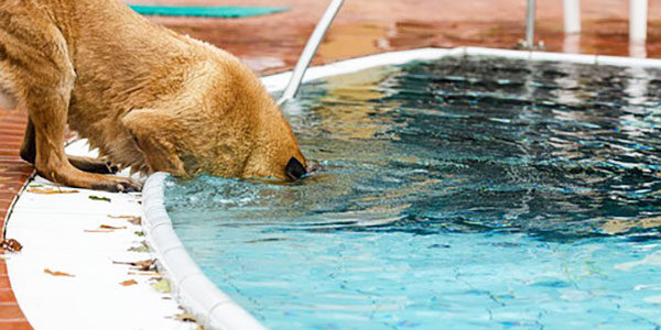 2025.08.16_kuchida_blog_7