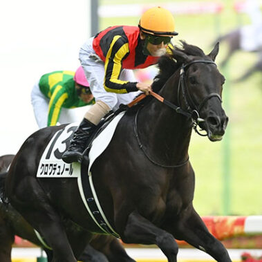 2025.8.24_ano_blog_06