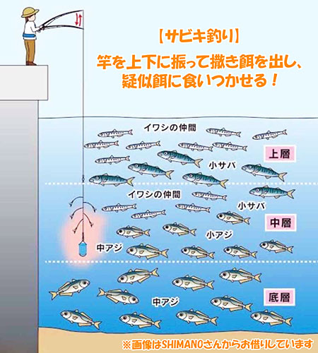 サビキの説明