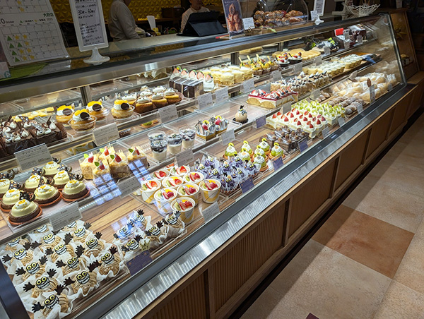 ショーケース①