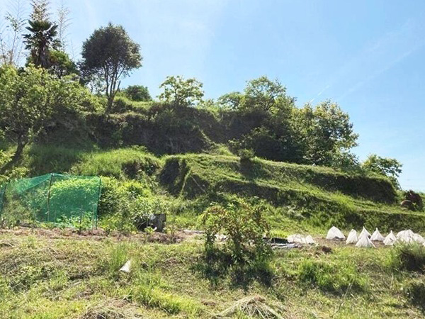 草木城(下から) 草木城(下から)