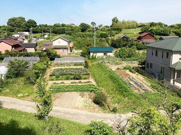 草木城(上から) 草木城(上から)