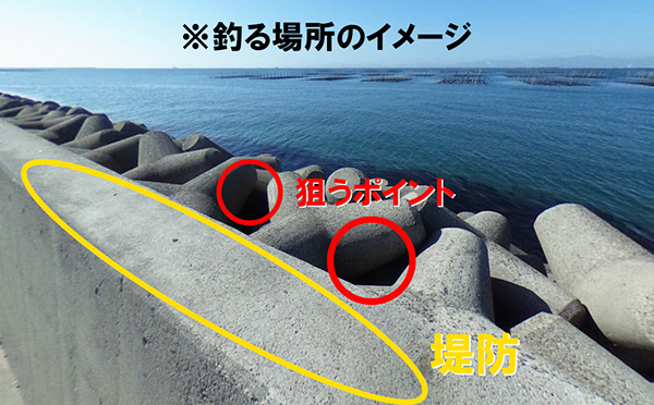 釣る場所