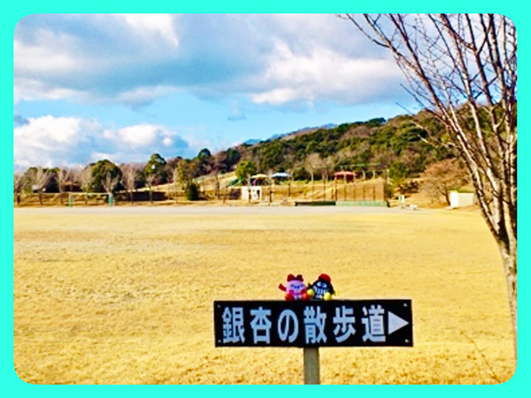 2013年 ちた散歩取材時の写真 2013年 ちた散歩取材時の写真