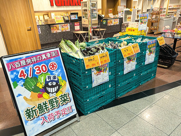 陳列済①