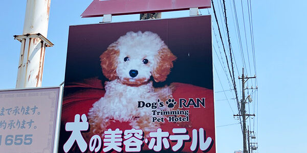 2026.08.09_sanpo_1