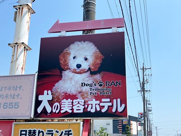 Dog's RAN写真1 Dog's RAN写真1