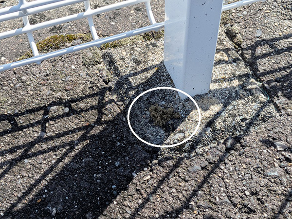 りんくう店をお清め