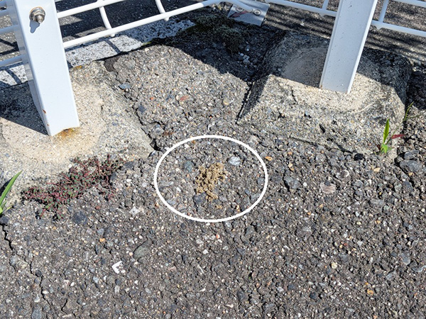 りんくう店をお清め